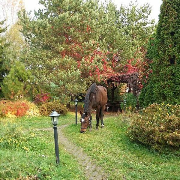 Dream Village, Московская область: фото 4