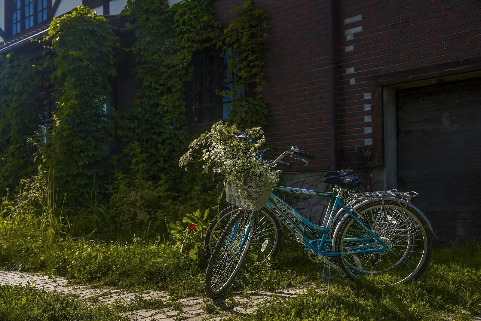 Dream Village, Московская область: фото 5