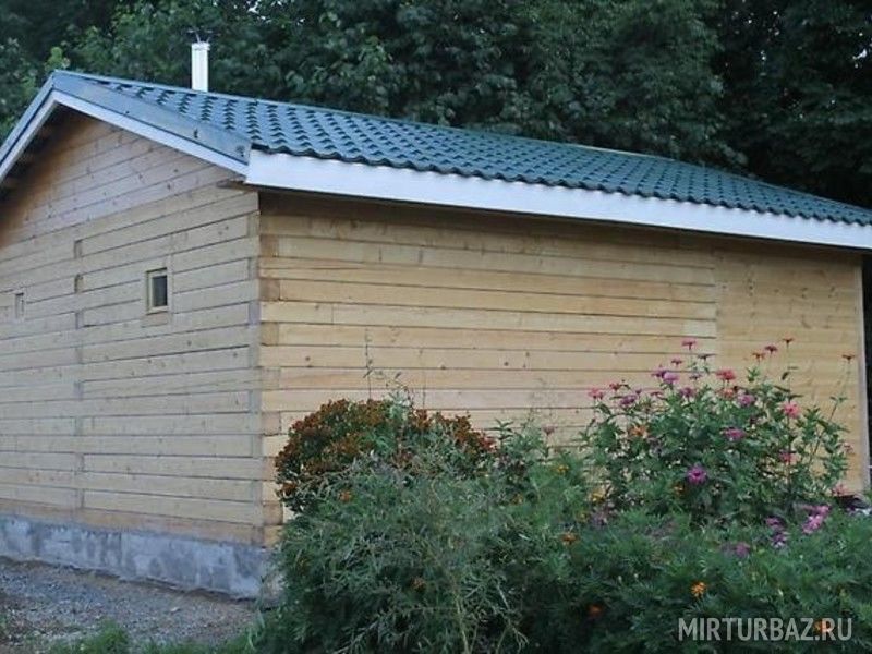 Багульник, Приморский край: фото 4