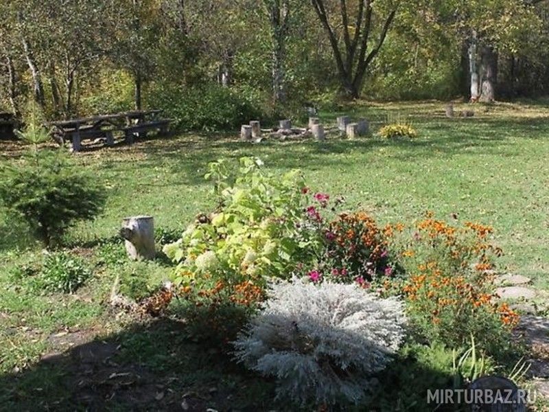 Багульник, Приморский край: фото 5