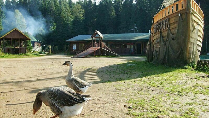 Територия | Клевое место, Новгородская область