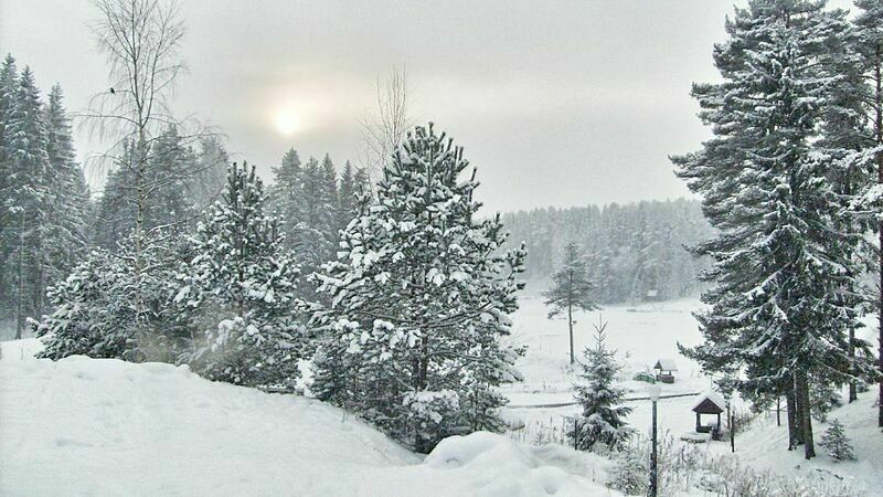Территория | Клевое место, Новгородская область