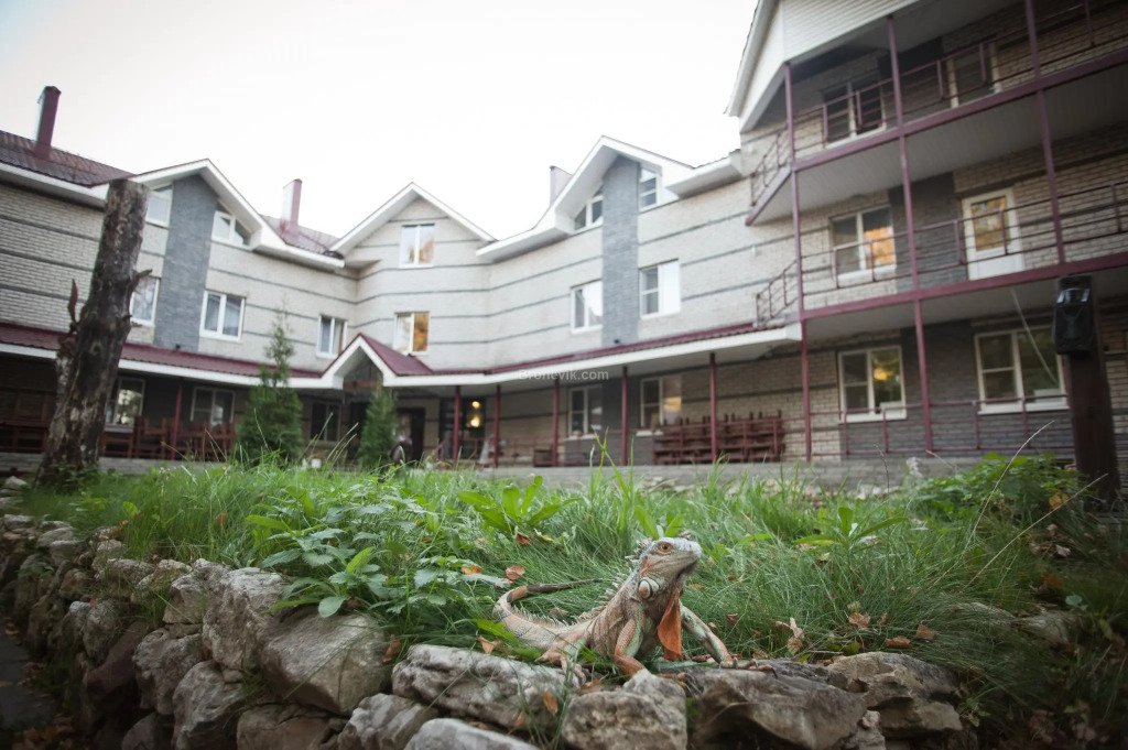 Отель Деловой Клуб, Нижегородская область, Выкса 