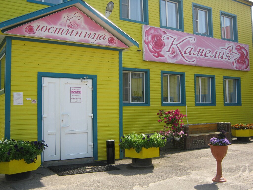 Отель Камелия, Вологодская область, Верхний Рыстюг 