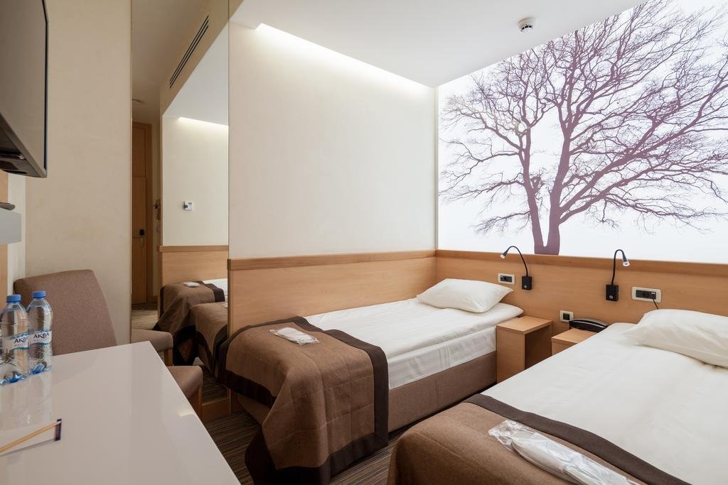 Отель Аэротель Экспресс ZONT Hotel Group, Московская область, Москва 