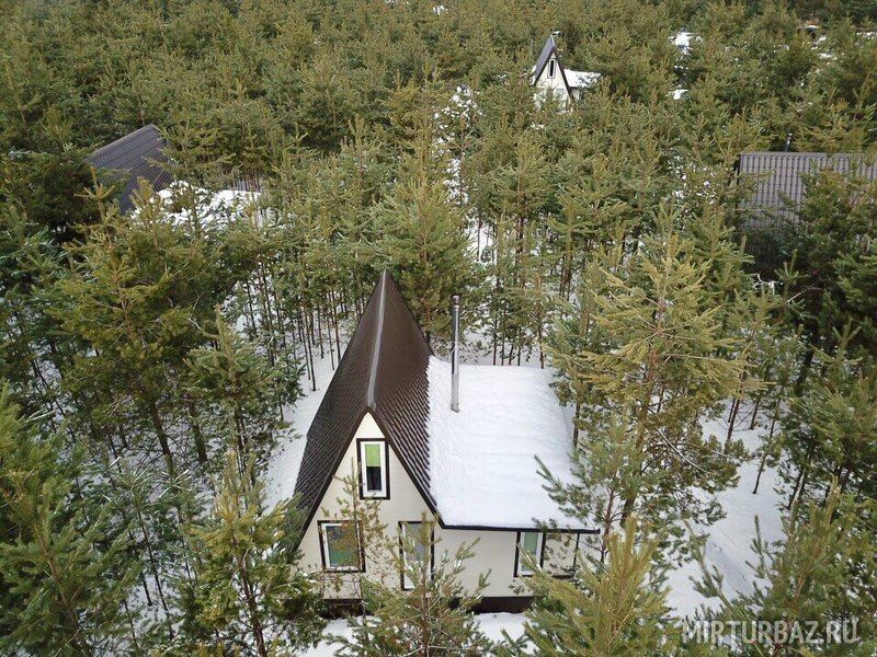 Усадьба Пчелинцево, Рязанская область: фото 5