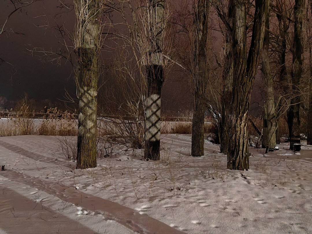 Фото 2 из отзыва о базе отдыха Березовые дали