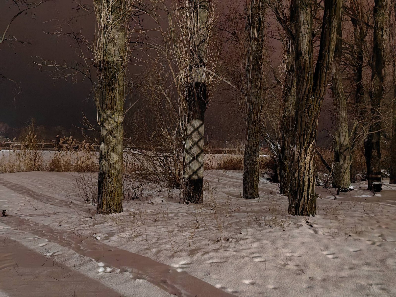 Фото 2 из отзыва о базе отдыха Березовые дали