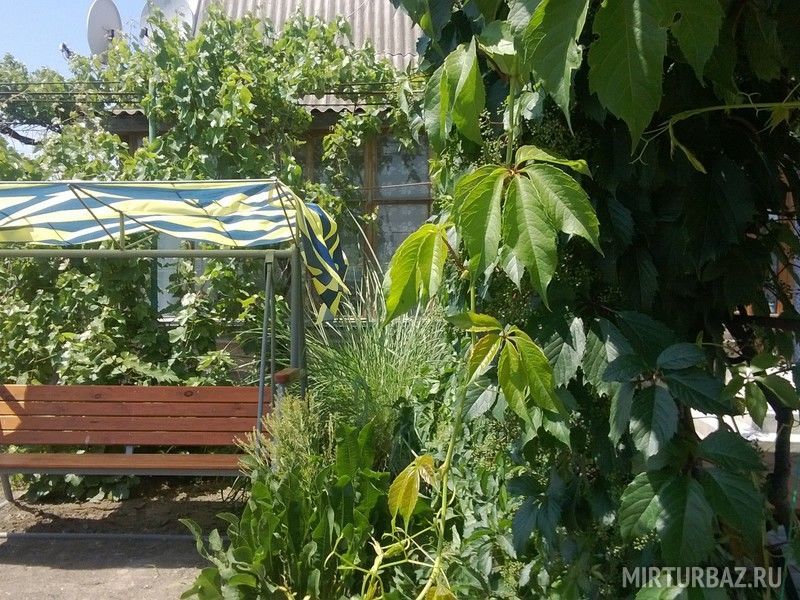 Семейный отдых, Крым: фото 4