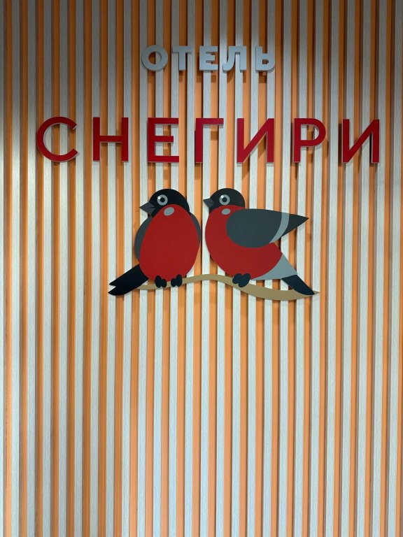 Отель Снегири, Республика Татарстан, Нижнекамск 