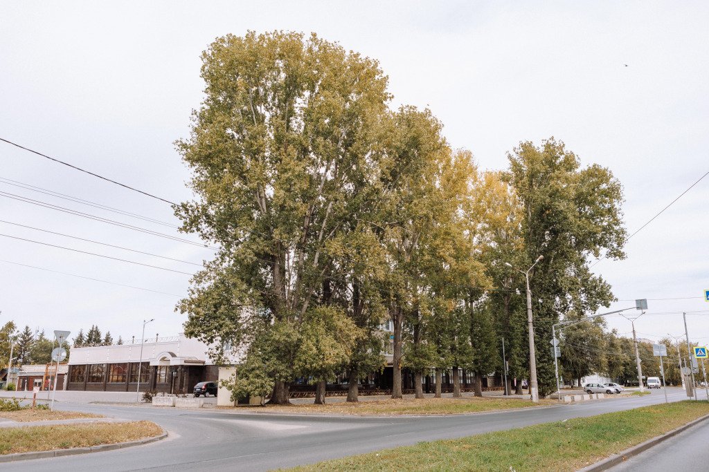 Отель Зодиак, Самарская область, Тольятти 