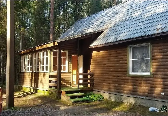 Чародейка, Новгородская область: фото 2