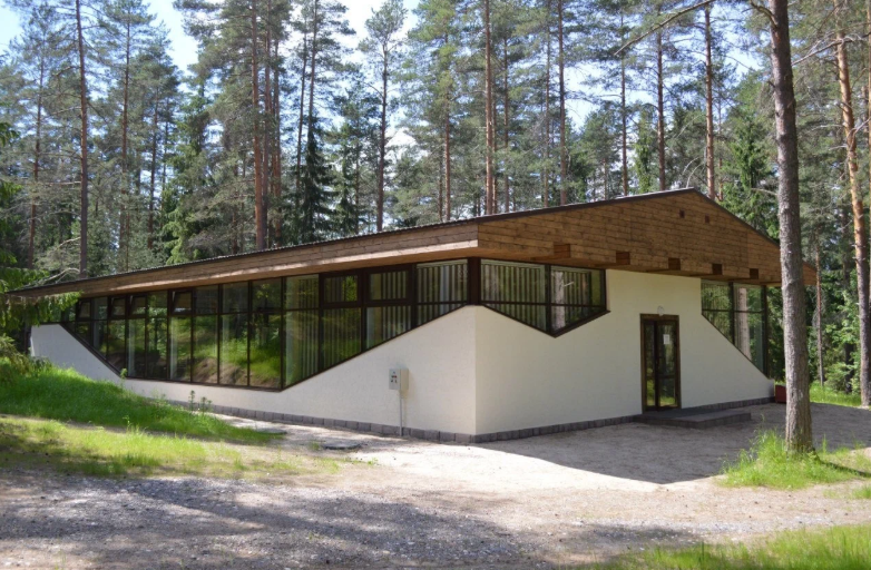 Северное сияние, Новгородская область: фото 2