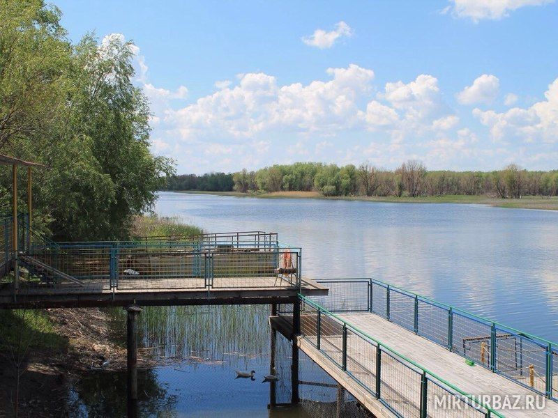 Золотая Рыбка, Волгоградская область: фото 5