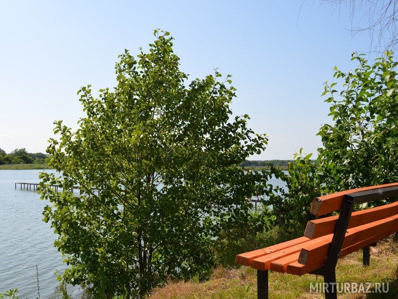 ЭкоОстров, Орловская область: фото 5