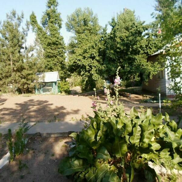 Крит, Волгоградская область: фото 3