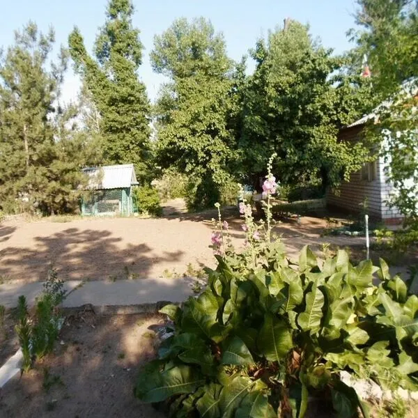 Крит, Волгоградская область: фото 3