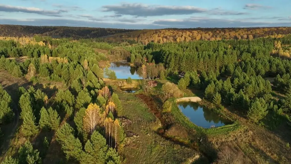 Парк Чёшталей, Республика Мордовия: фото 3