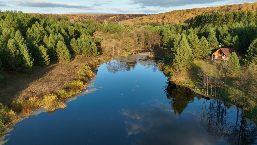 Парк Чёшталей, Республика Мордовия: фото 5