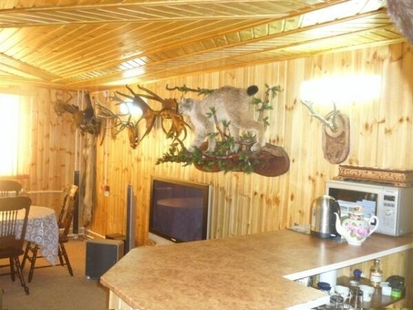 Охотничья база Верника, Оренбургская область, Оренбург Оренбург Известковое