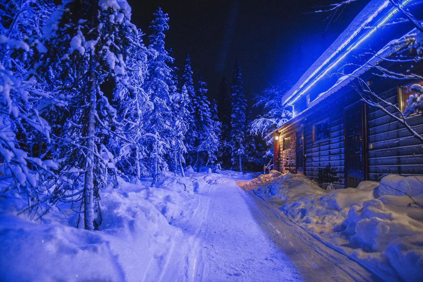 У Сейдозера, Мурманская область: фото 5