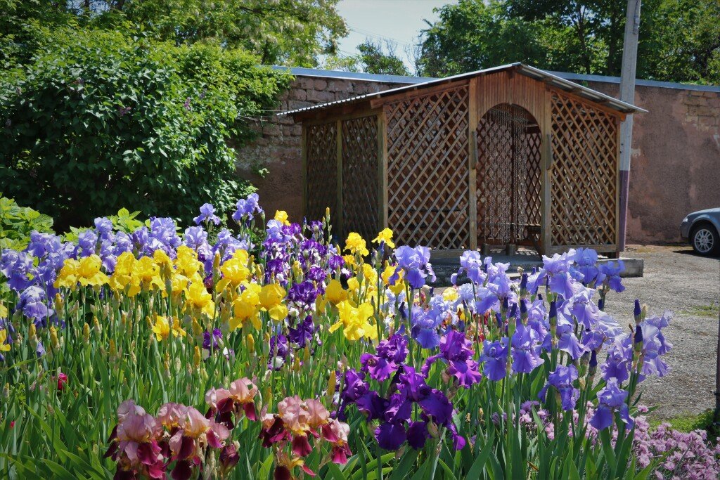 Мини-Отель Детская Туристская База, Крым, Симферополь 