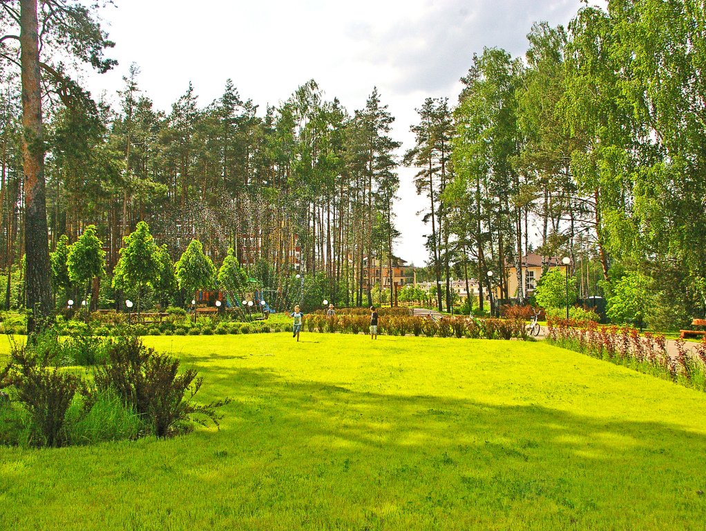 Апарт-отель Яхонтовый Лес, Московская область, Ногинск 