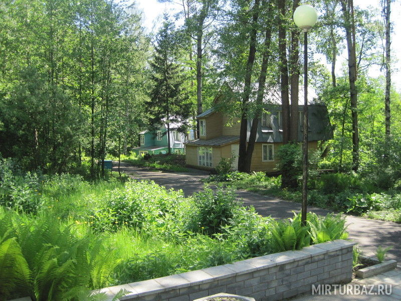 База отдыха Спутник, Владимирская область, Меленковский 