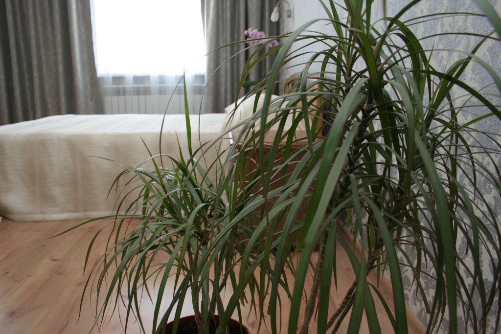 Гостевой дом Travel House, Темрюк, Краснодарский край