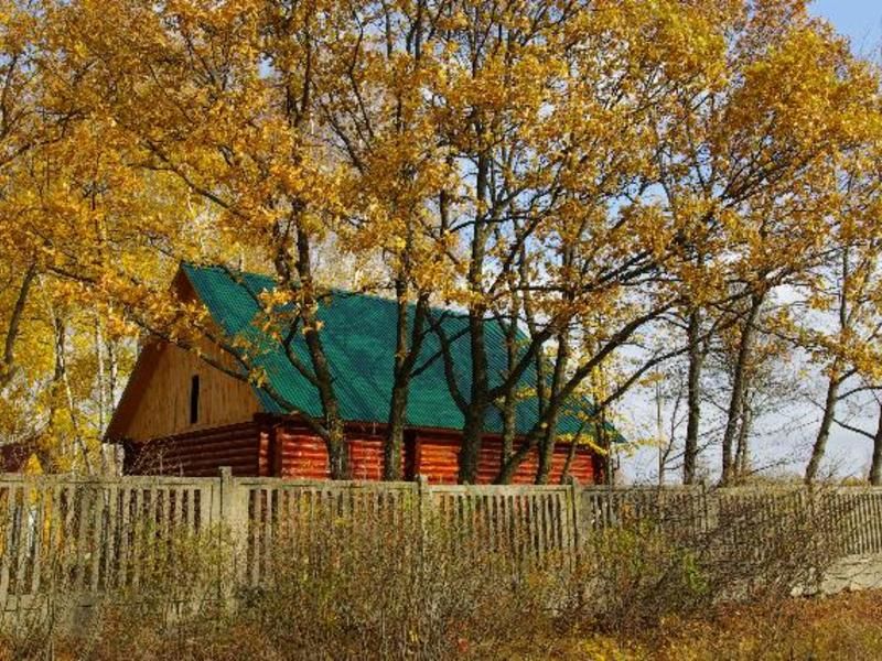 Кирицы, Рязанская область: фото 2