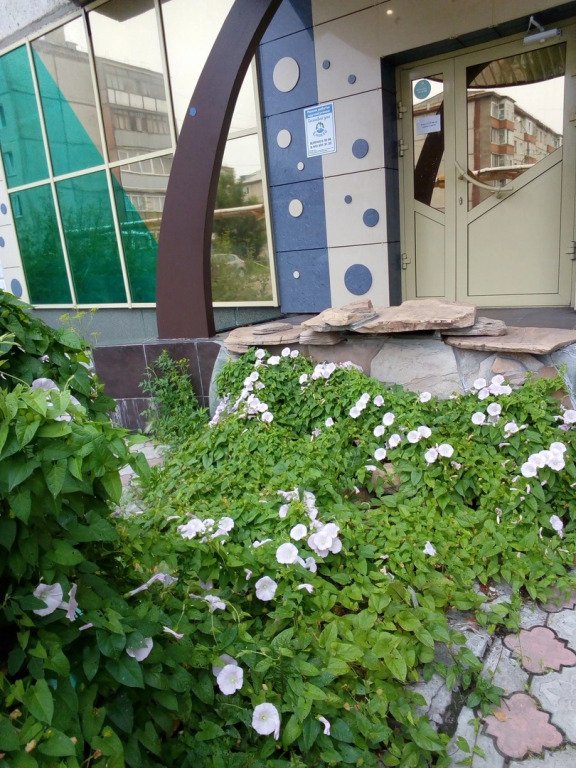 Гостевой дом Енисей, Красноярский край: фото 2