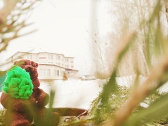 Гостевой дом Момент Силы