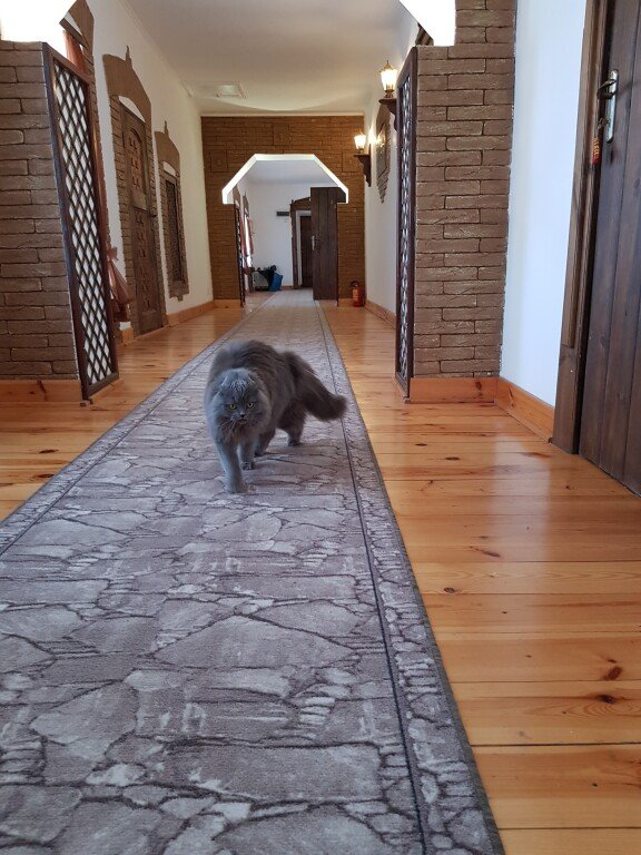 Гостевой дом Дом Ершова, Владимирская область: фото 3