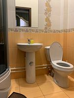 Трёхместный номер Standard, Гостевой дом, хутор Малеваный