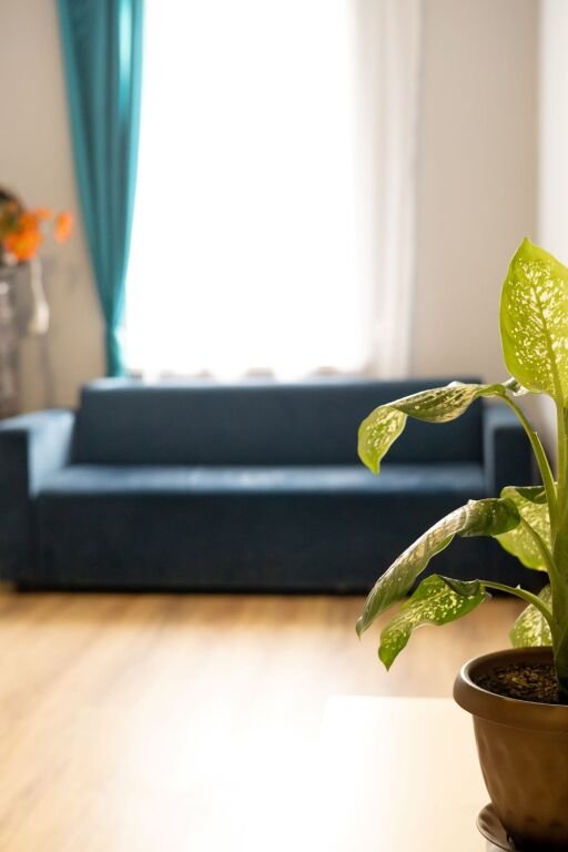 Гостевой Дом Мансарда, Республика Татарстан: фото 5