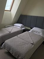 Двухместный номер Standard Мансарда 2 отдельные кровати, Гостевой дом Аякс, Владивосток