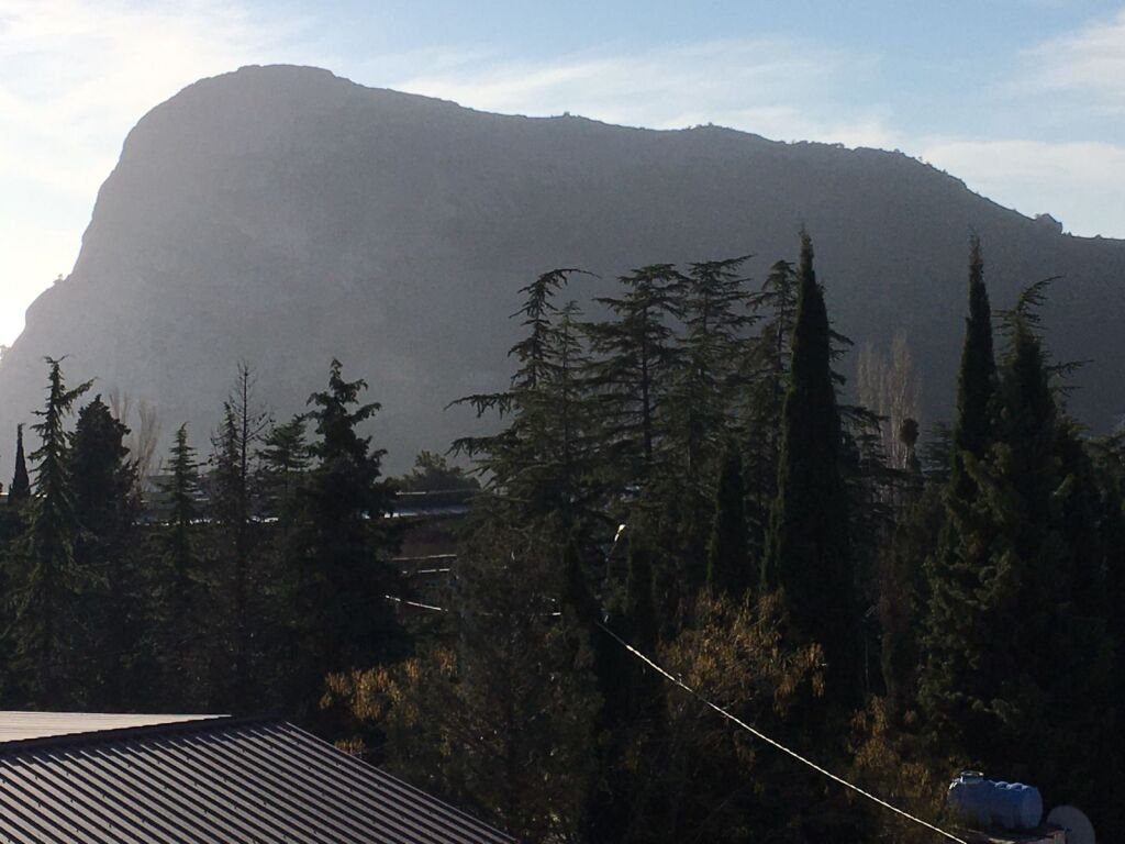 Гостевой Дом Миндальный 39, Крым: фото 4