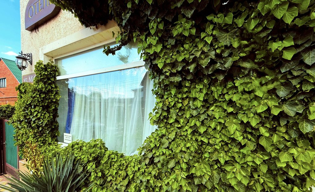 Гостевой дом 4 Сезона, Краснодарский край: фото 2