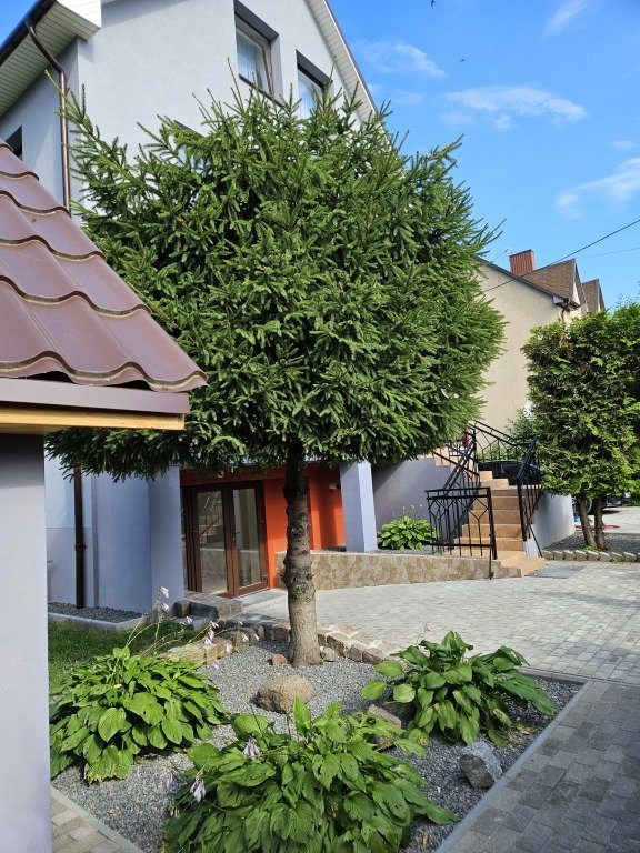 Гостевой дом Миниотелик, Калининградская область: фото 5