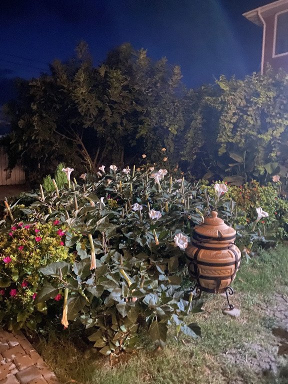 Гостевой дом Белая Дача, Краснодарский край: фото 4