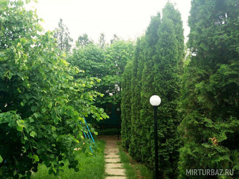 Парус, Крым: фото 4