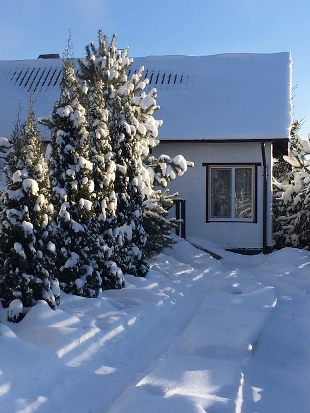 Куршале, Московская область: фото 3