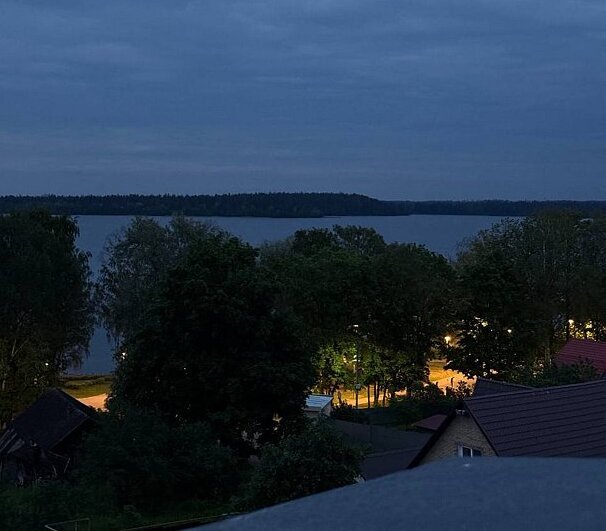 Барин Брусникин, Новгородская область: фото 5