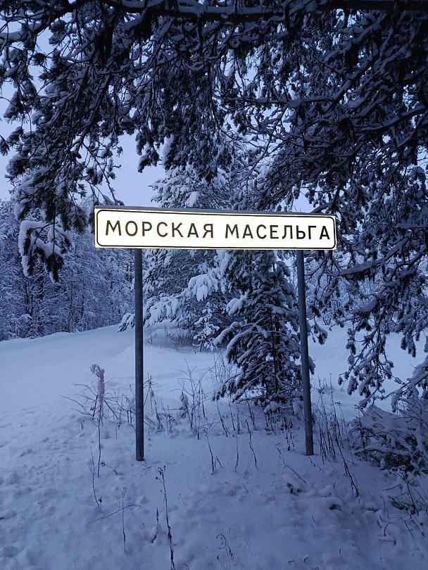 Фото 1 из отзыва о гостевом доме Гостевые дома Дикая Клюква