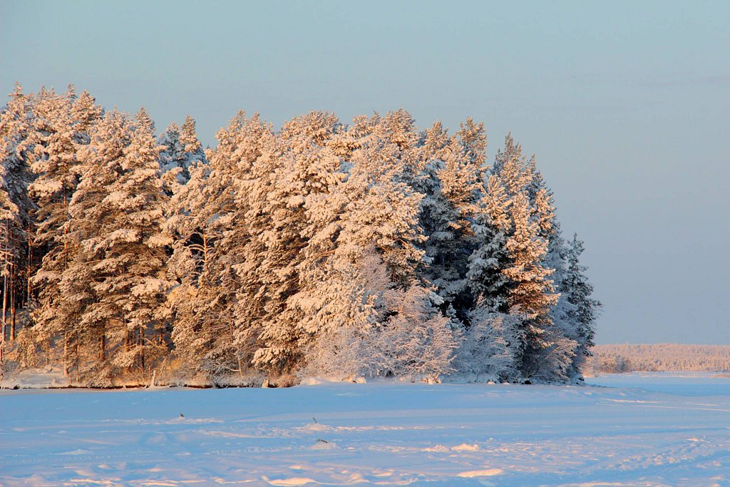 Фото из отзыва от 03.01.2026