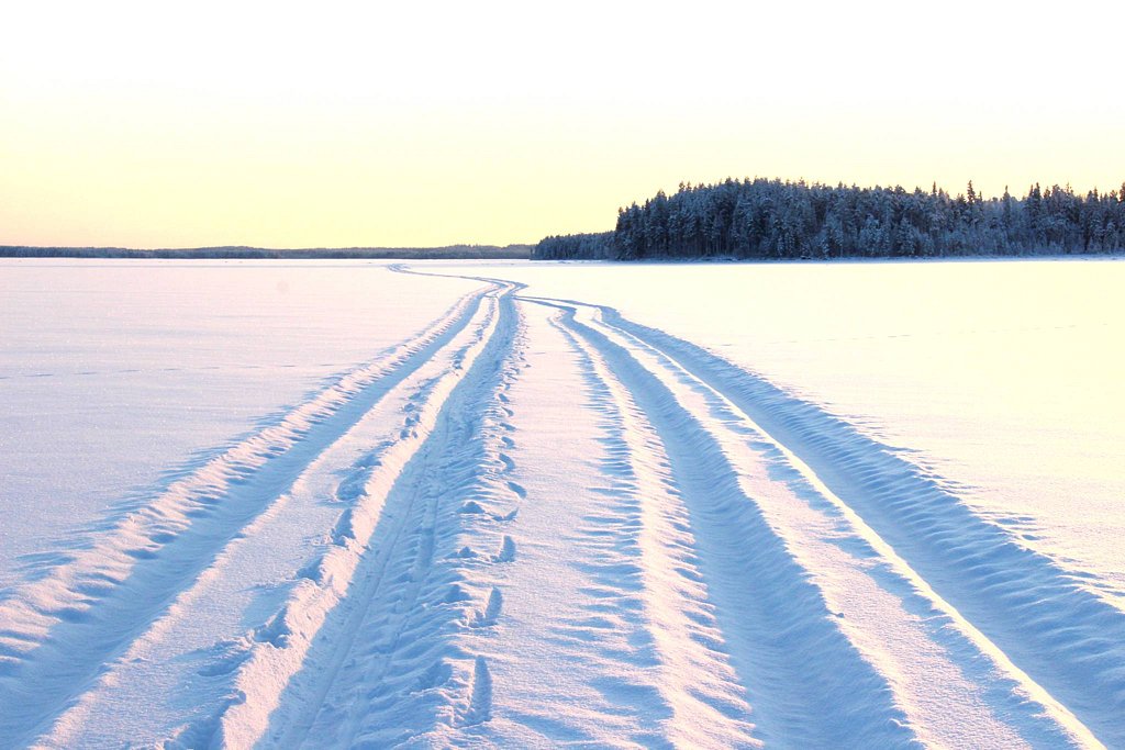 Фото из отзыва от 03.01.2026