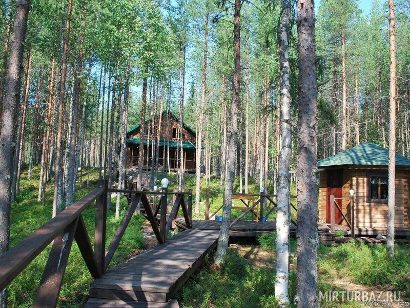 Травяная, Мурманская область: фото 5