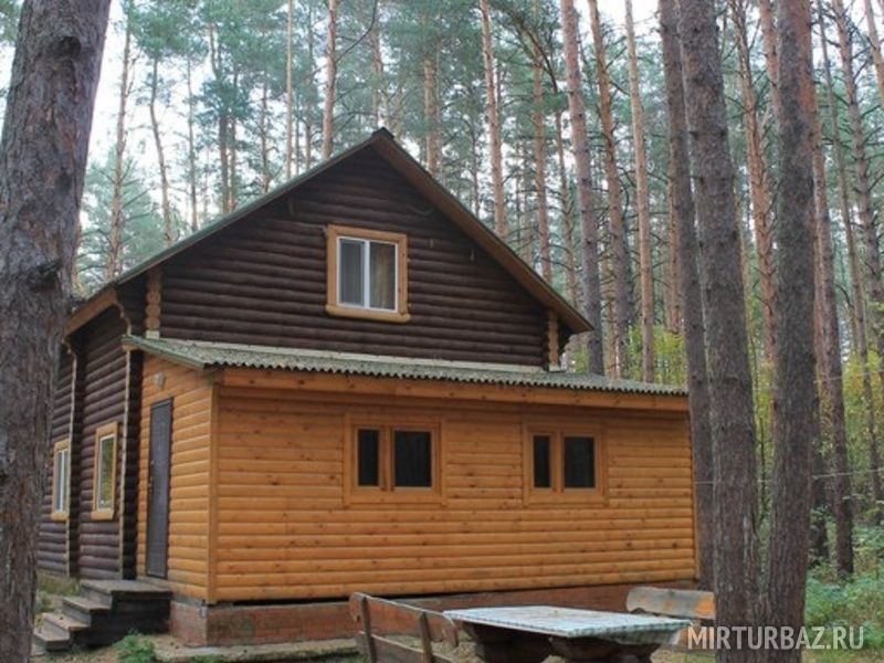 Мещеры, Рязанская область: фото 4