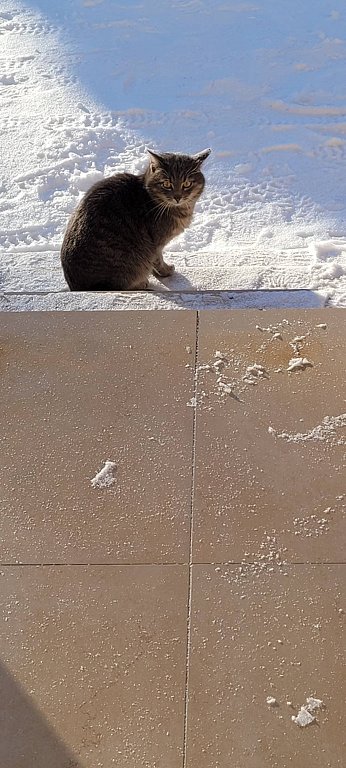 Фото из отзыва от 30.01.2026