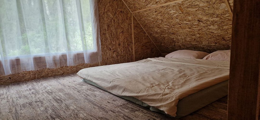 СтреКоза, Новосибирская область: фото 2